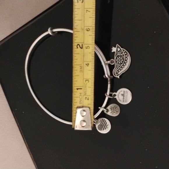 Alex and Ani Sacred Turtle Dove Charm Bracelet NEW IN BOX - Picture 3 of 4